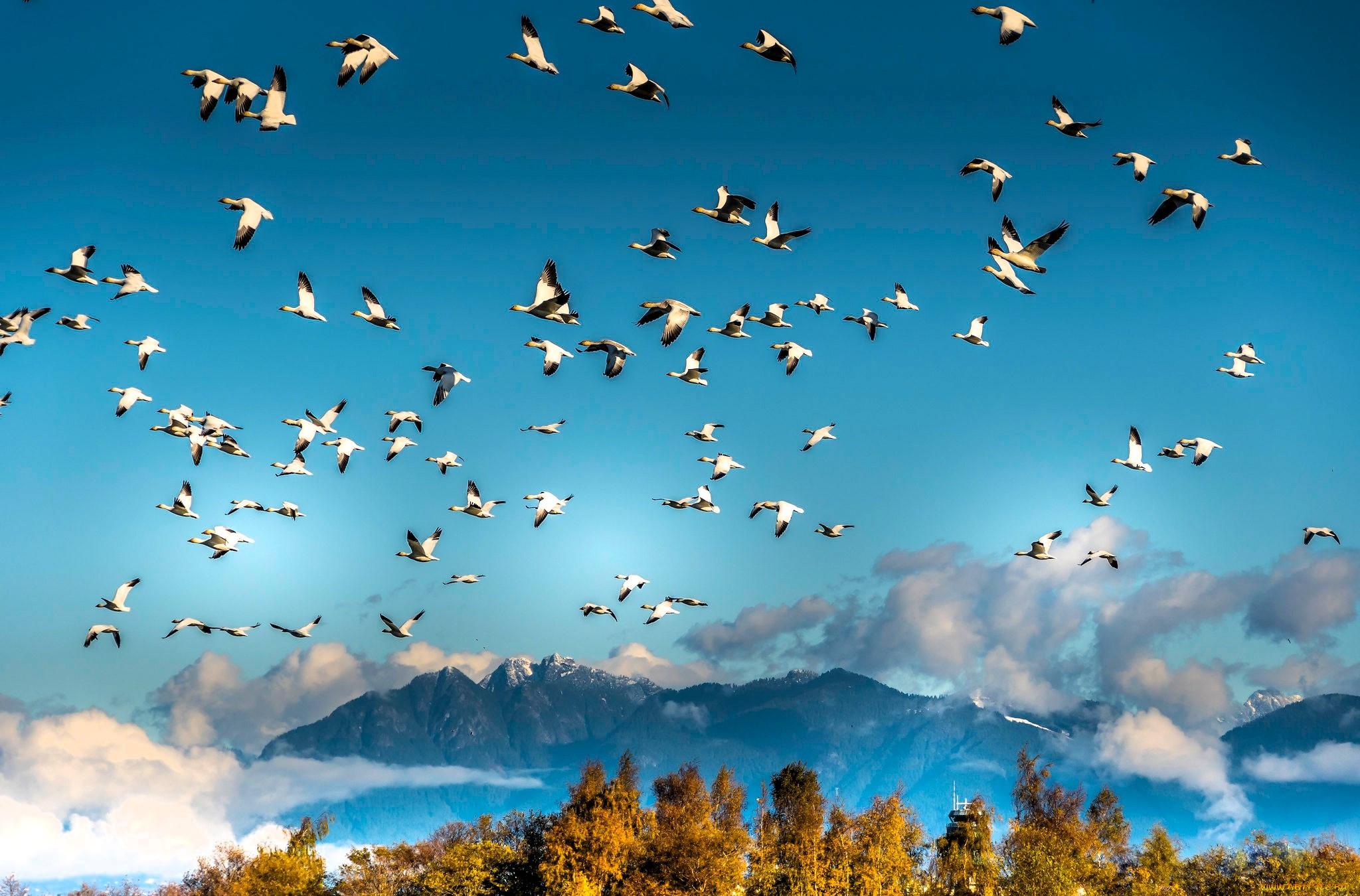 ��������, ����, �����, ����, ����, ����, ������, �������, �����